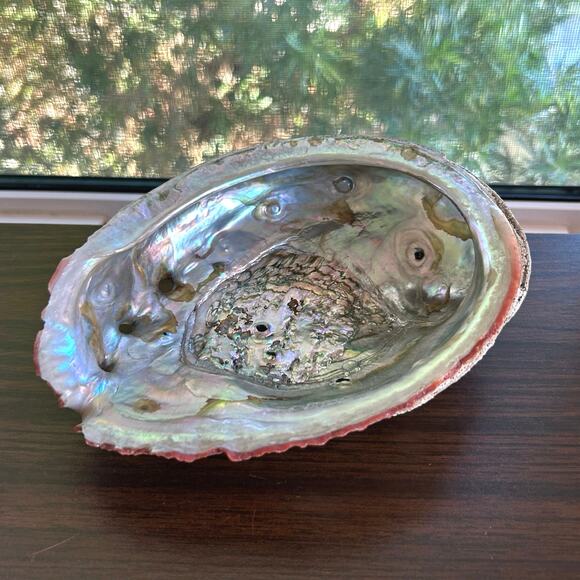 Vintage Abalone Shell – 7” Iridescent Mother of Pearl Display or Smudge Bowl - Picture 2 of 7
